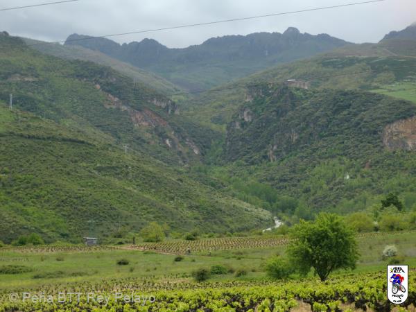 20100507130803.JPG