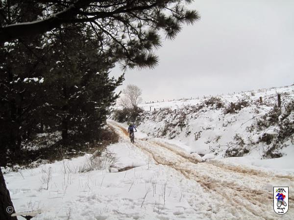 20150208131553.JPG