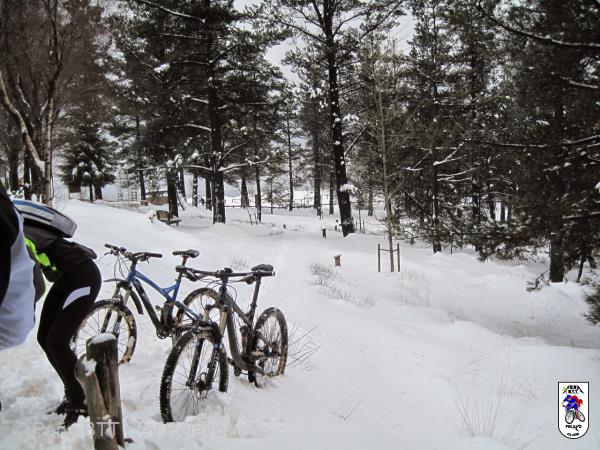 20150208134246.JPG