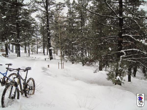 20150208134249.JPG