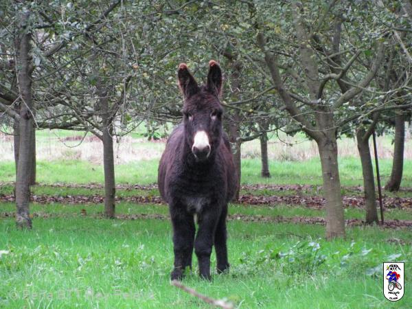 20111203115255.jpg