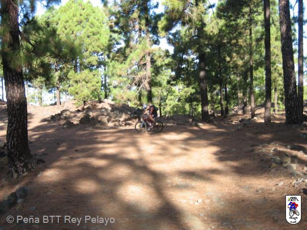 20060926105418-Tenerife Chema_25.jpg