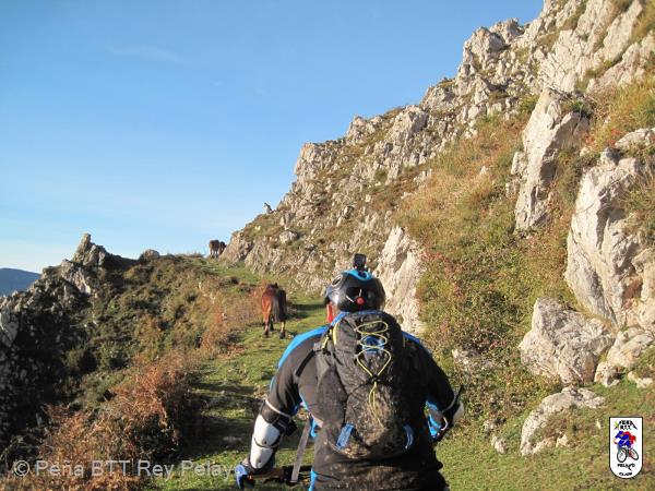 20161206170143_bySaul.jpg