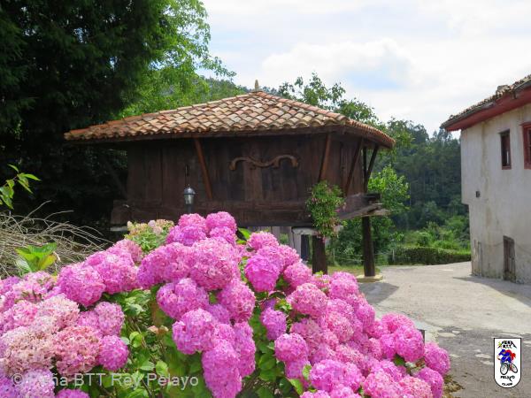 20150725131559.jpg