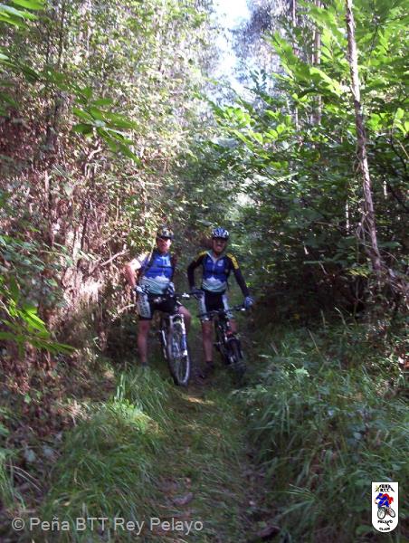 20020101140819-fot374.jpg