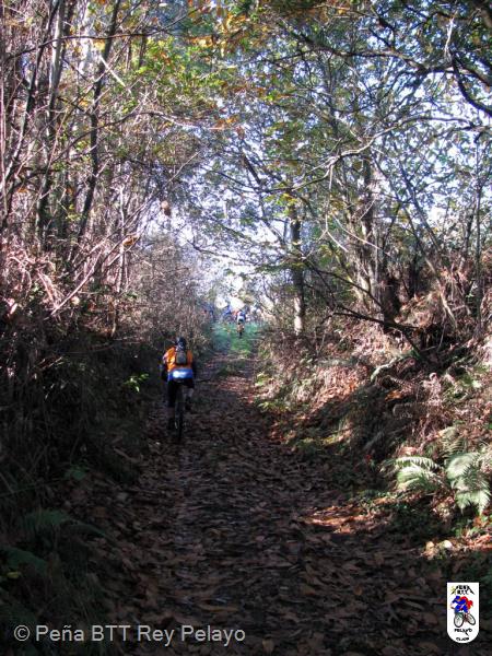 20111126131704.jpg