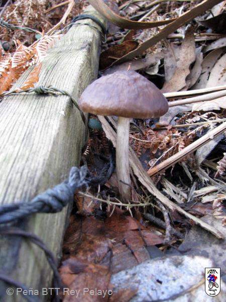 20111126132737.jpg