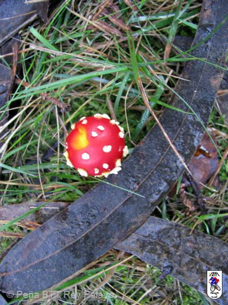 20111126142609.jpg