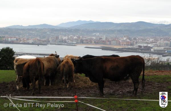 20100102105545juanjo.JPG