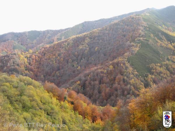 20141122140049.JPG