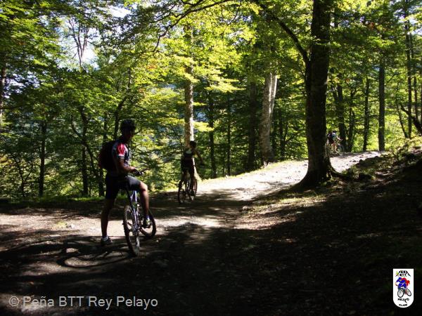 20050924113546-Imagen 041.jpg