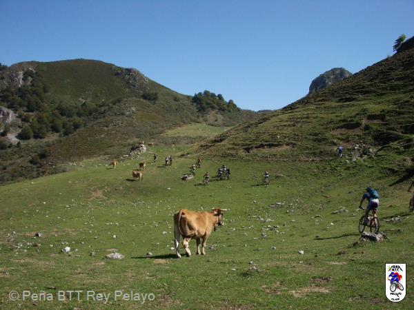 20050924132540-Imagen 093.jpg
