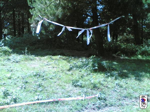 20060706165821-Reconociendo_07.jpg