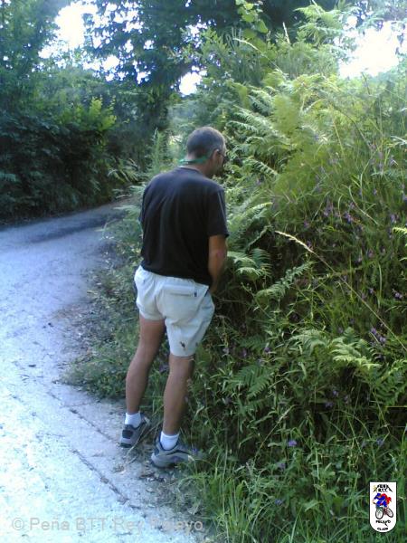 20060706181055-Reconociendo_21.jpg