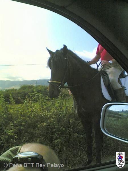 20060706185049-Reconociendo_24.jpg