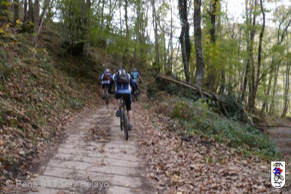 20171028000000P1060747.jpg