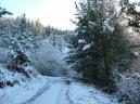 20090109154356_byAgus.jpg