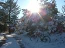20090109155551_byAgus.jpg