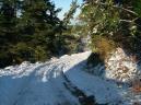 20090109161214_byAgus.jpg