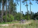 20040515114732-fot4.jpg