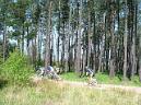 20040515114738-fot5.jpg