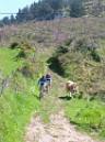 Al Cerro Gavo