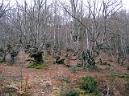 20100320111524juanjo.JPG
