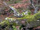 20100320112035juanjo.JPG