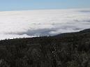 20060205120329-Tenerife Chema_09.jpg