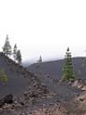 20060423120138-Tenerife Chema_13.jpg