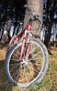 20051106114536-Ciclocros_05.JPG