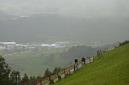 20101127114046.JPG