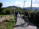 Da de Asturias 2005