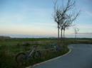 20081220091748_dePau.jpg