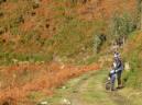 20081220103213_dePau.jpg