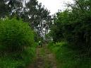 20130525133208.jpg