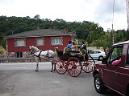 20050730135845-Imagen 033up.jpg