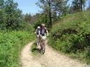 20040605141447-fot7.JPG