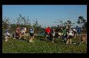 20071020104315-(byRuper).JPG