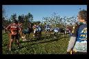 20071020104701-(byRuper).JPG