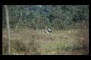 20071020115109-(byRuper).JPG