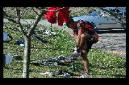 20071020121639-(byRuper).JPG