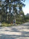 20071020122159-(byPablo).JPG