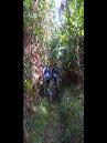 20020101140819-fot374.jpg