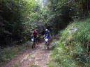 20020101150218-fot375.jpg