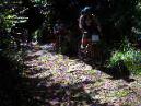 20020101150826-fot381.jpg