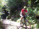 20020101150906-fot382.jpg