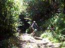20020101151002-fot383.jpg
