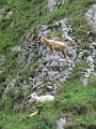 20050528123828-Pablete- 004_redimensionar.jpg