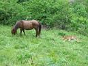 20050528125037-Pablete- 006_redimensionar.jpg